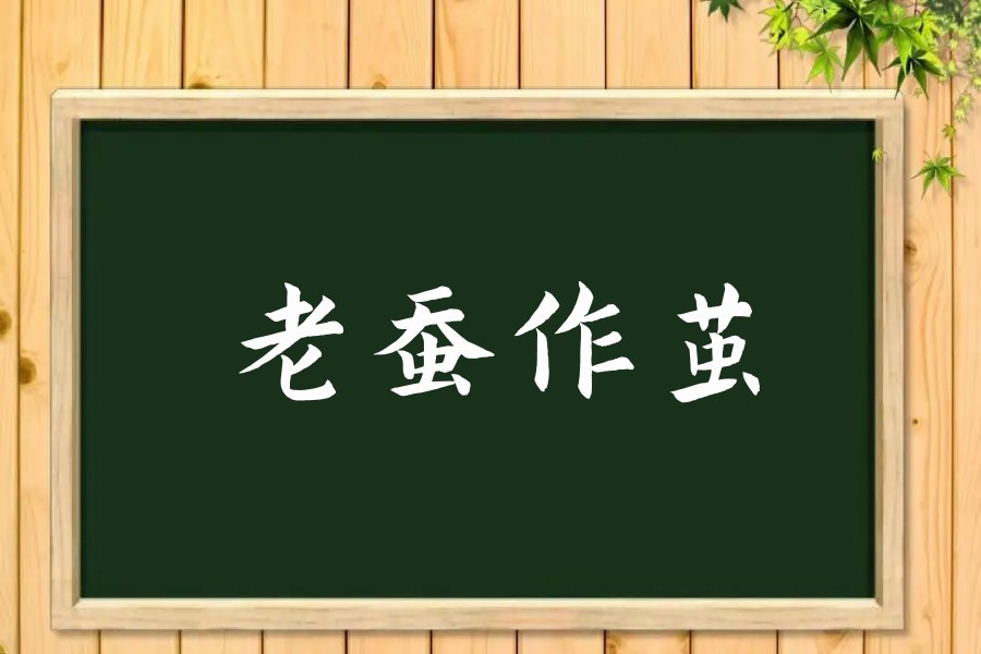老蚕作茧的意思