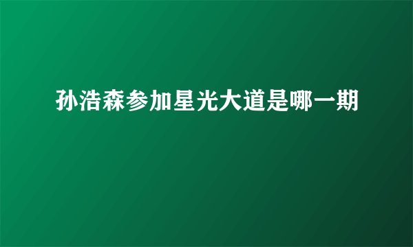 孙浩森参加星光大道是哪一期