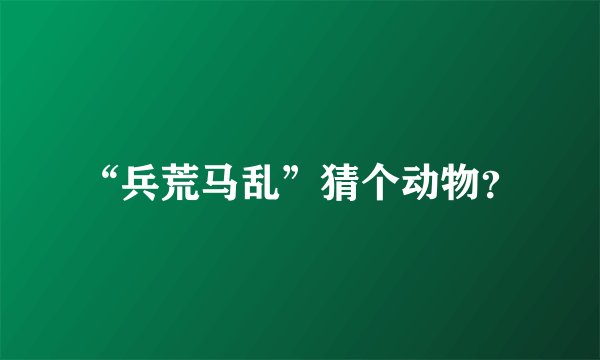 “兵荒马乱”猜个动物？