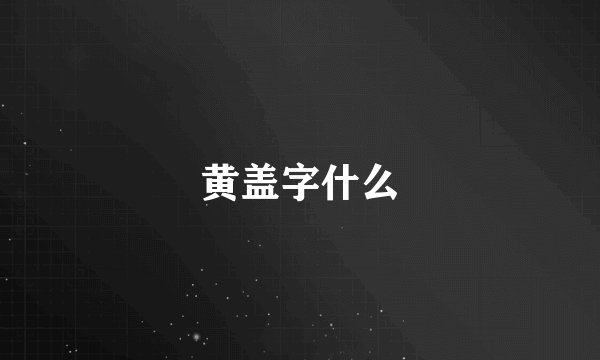 黄盖字什么