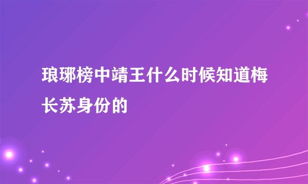 琅琊榜中靖王什么时候知道梅长苏身份的