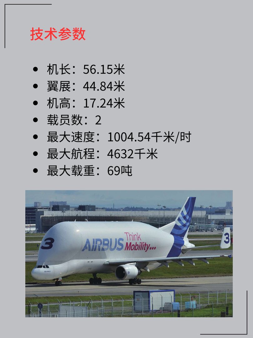 A300-600ST“白鲸”运输机