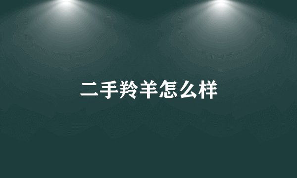 二手羚羊怎么样