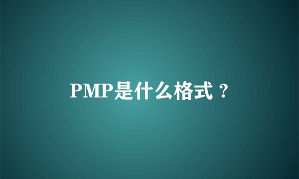 PMP是什么格式 ?