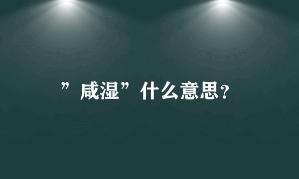”咸湿”什么意思？