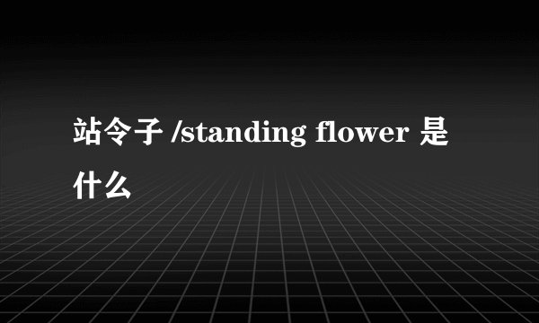 站令子 /standing flower 是什么