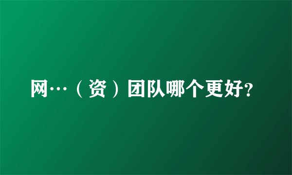 网…（资）团队哪个更好？