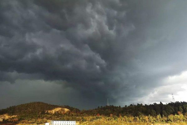 传说中的血雨真的存在吗？为何会有血雨出现？