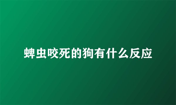 蜱虫咬死的狗有什么反应