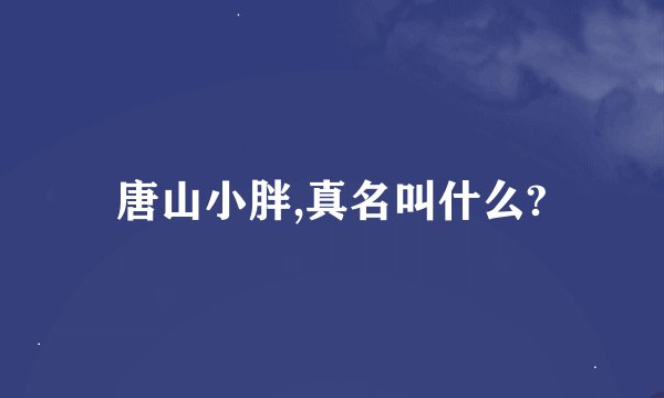 唐山小胖,真名叫什么?