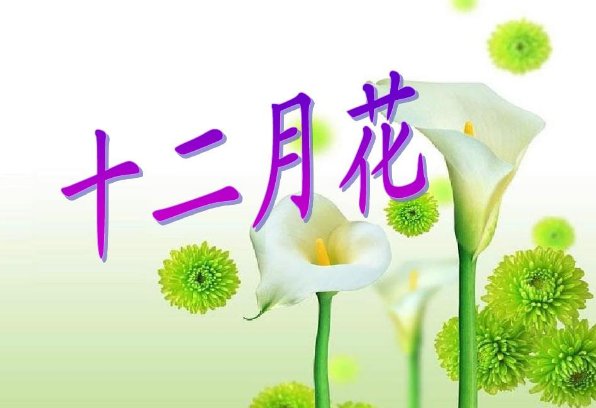 《十二月花》是一首什么样的儿歌呢？