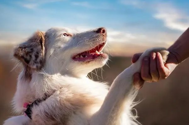 跪了，知道错了吗