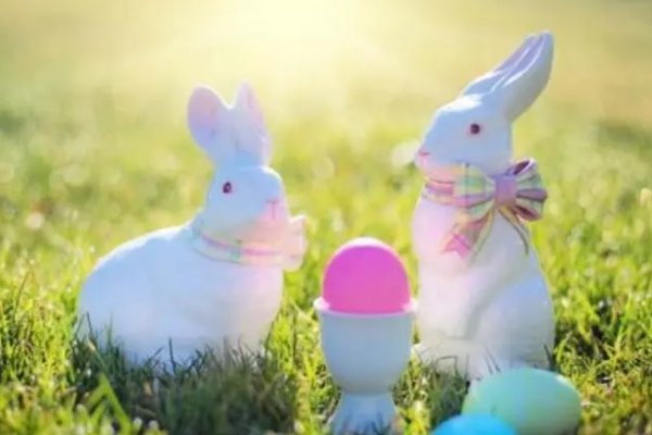 shane是什么意思