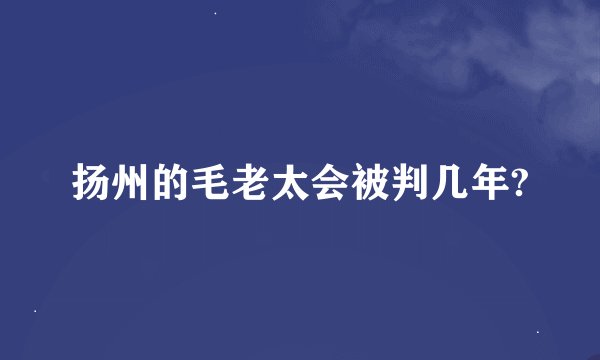 扬州的毛老太会被判几年?