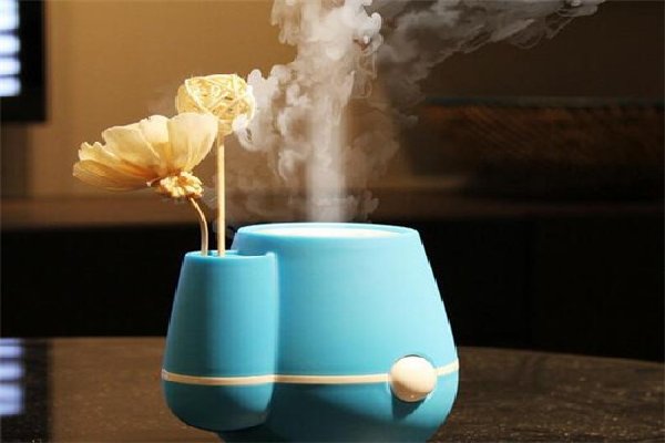 冬季加湿器用什么水蚂蚁庄园
