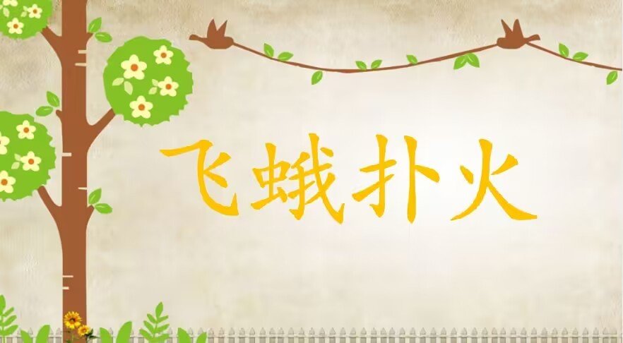 飞蛾扑火是什么意思?