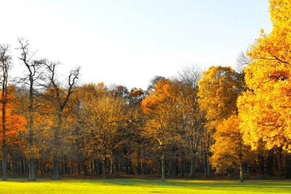 何时立秋是早秋还是晚秋