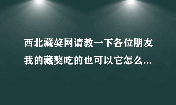 西北藏獒网请教一下各位朋友我的藏獒吃的也可以它怎么就是吃不肥