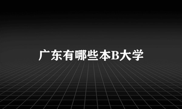 广东有哪些本B大学
