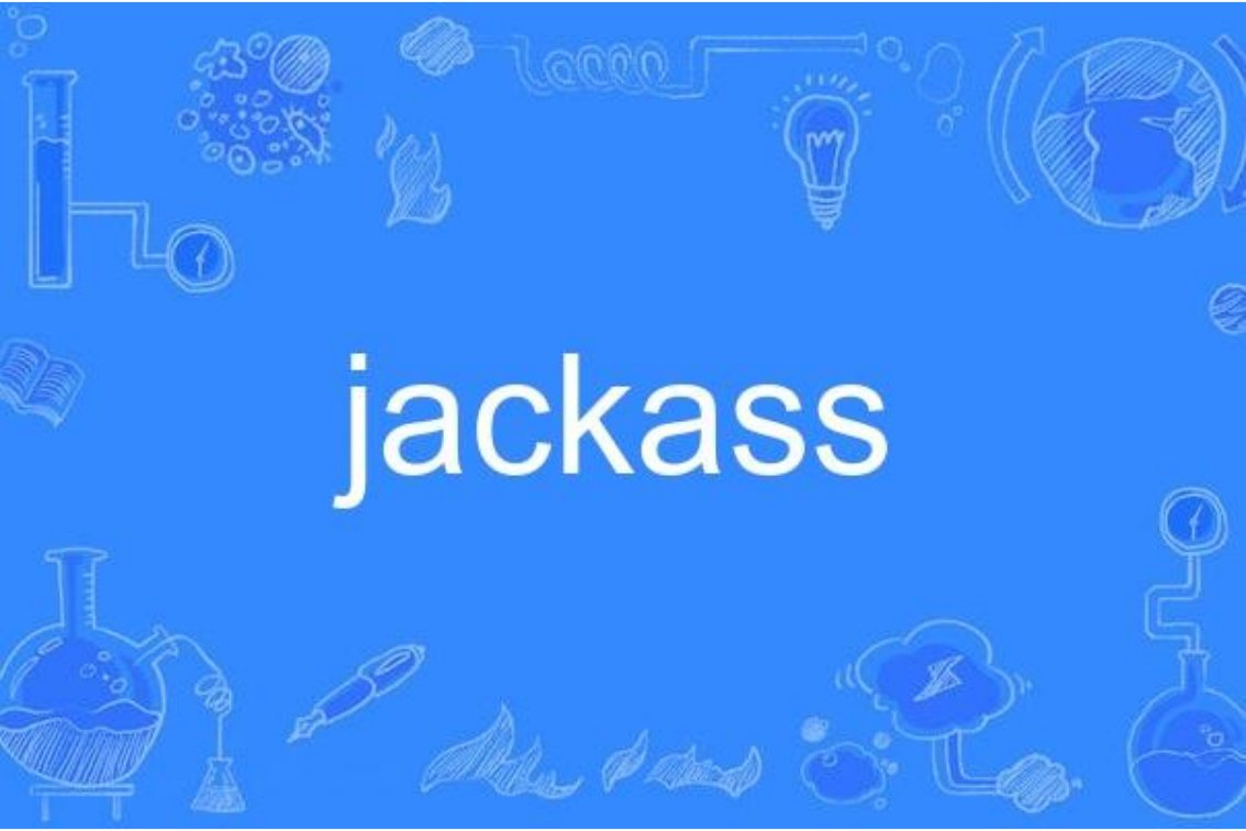 jackass什么意思