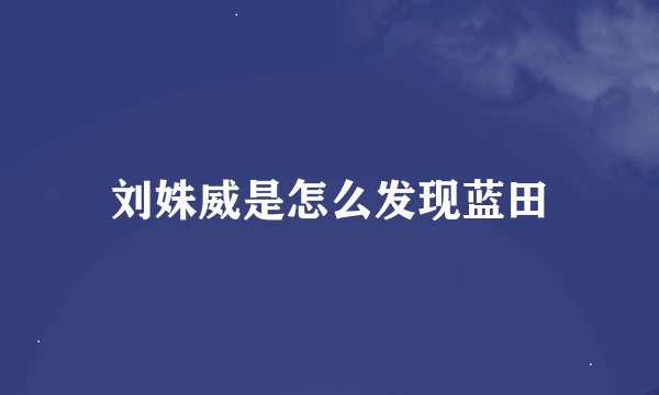 刘姝威是怎么发现蓝田