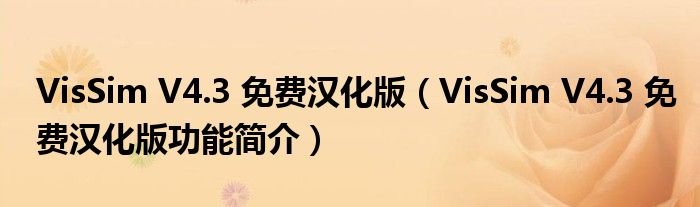 VisSimV43免费汉化版VisSimV43免费汉化版功能简介