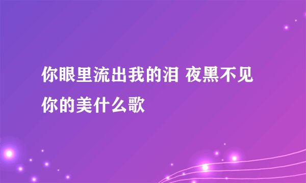 你眼里流出我的泪 夜黑不见你的美什么歌