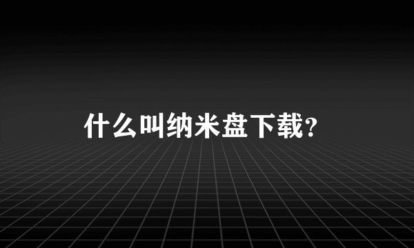 什么叫纳米盘下载？