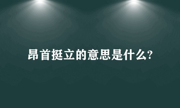 昂首挺立的意思是什么?