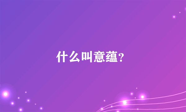 什么叫意蕴？