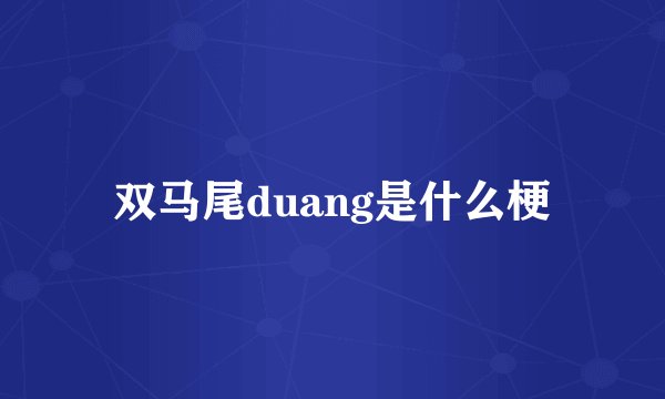 双马尾duang是什么梗