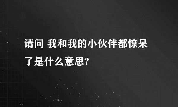 请问 我和我的小伙伴都惊呆了是什么意思?