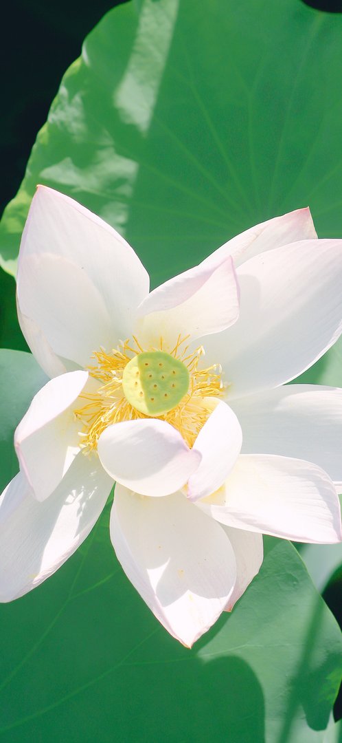 让男朋友瞬间燥热的话有哪些？