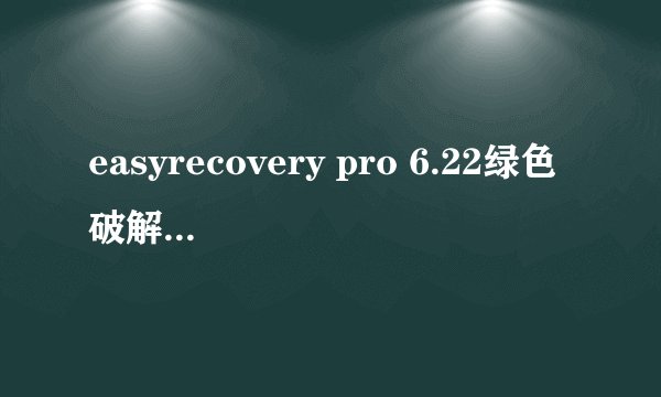 easyrecovery pro 6.22绿色破解中文版怎样使用