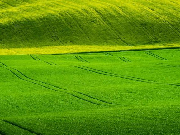 绿的拼音怎么拼