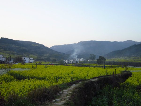 西前头村的景观景点