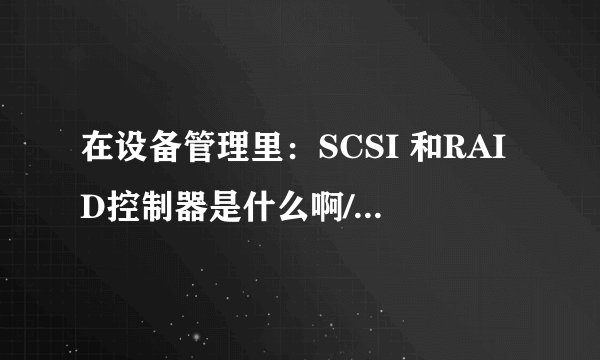 在设备管理里：SCSI 和RAID控制器是什么啊/谢谢高手