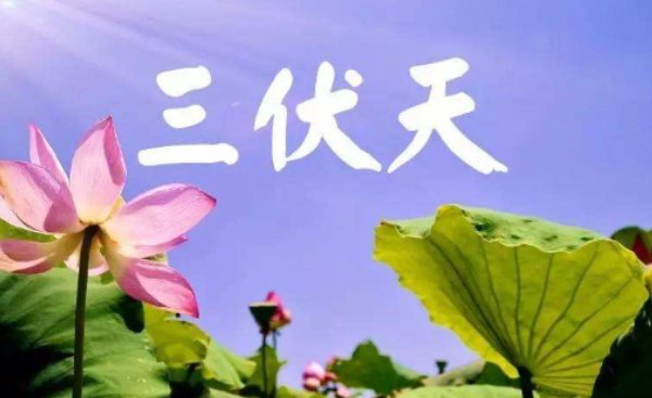 今年初伏是哪天2020年几月几号立秋2020年8月7号几点立秋？