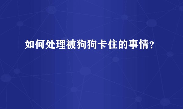 如何处理被狗狗卡住的事情？