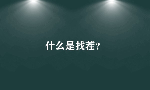 什么是找茬？