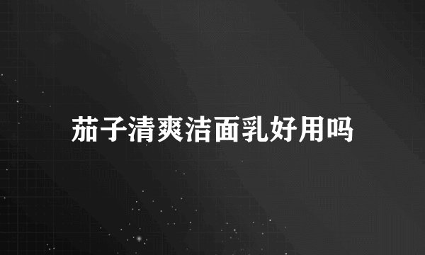 茄子清爽洁面乳好用吗