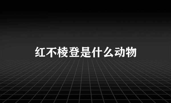 红不棱登是什么动物