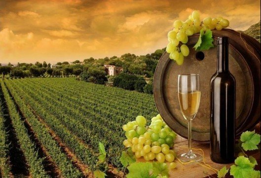 黑龙江农业信息网的介绍