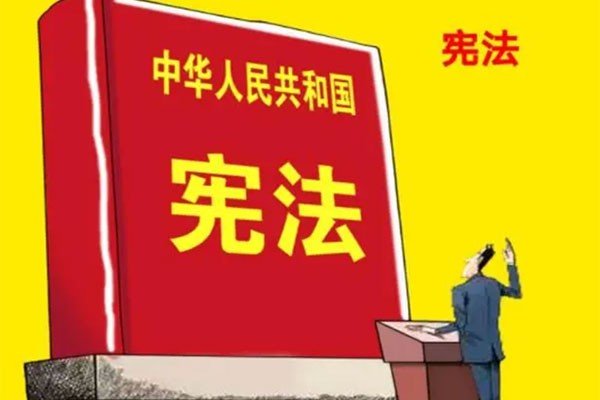 我国宪法机关的监督方式包括哪些