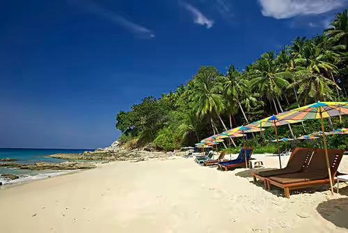 普吉岛酒店每晚一美元，此酒店的定价为何这么低？