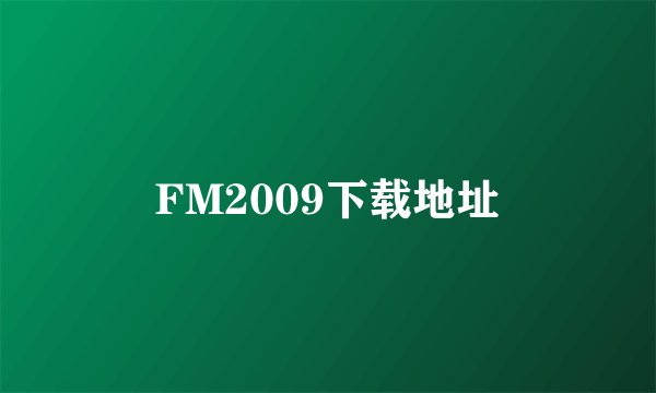 FM2009下载地址