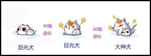 洛克王国游戏中泪光犬、笔童、清水之妖、桃子包仙球等宠物能进化吗?能进化成什么?厉害么?