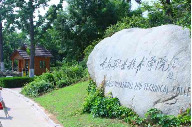 青岛职业技术学院2023录取线是多少？