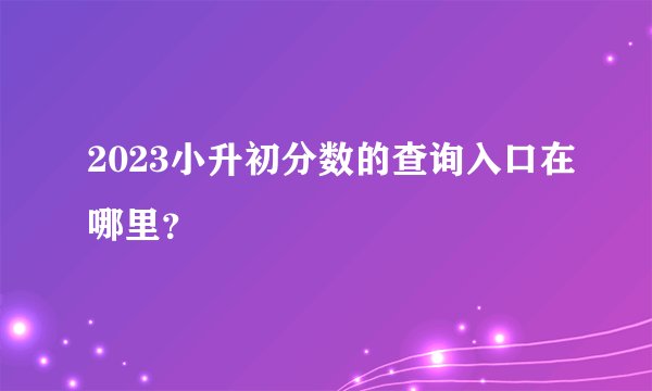 2023小升初分数的查询入口在哪里？