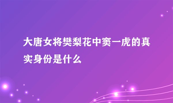 大唐女将樊梨花中窦一虎的真实身份是什么
